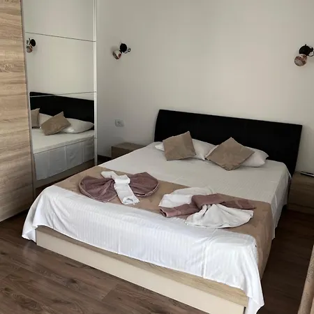 Elegance ゲストハウス コスティネシュティ