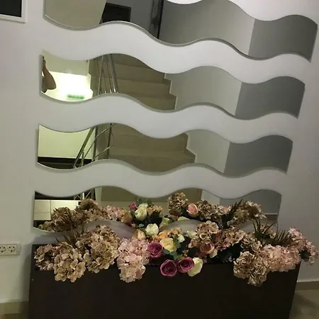 Elegance コスティネシュティ